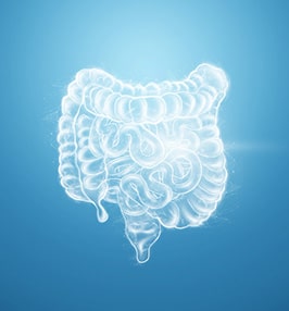 DESINTOXICAÇÃO DO SISTEMA DIGESTIVO
